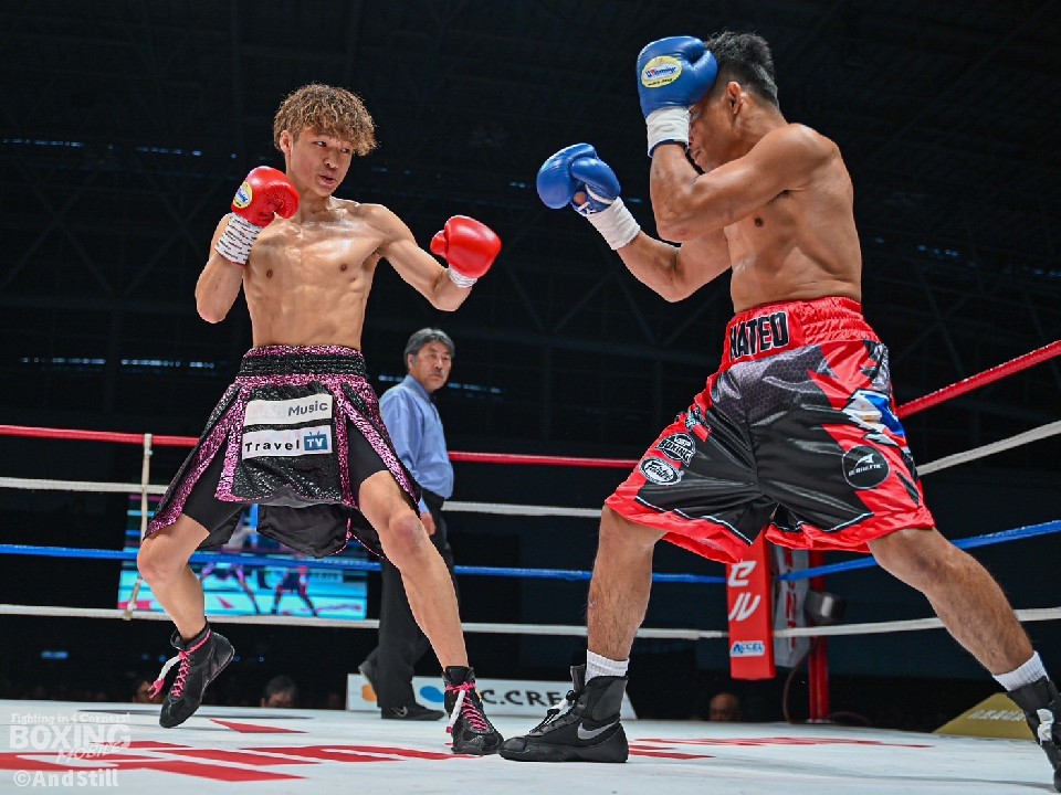 ����y��(LUSH)