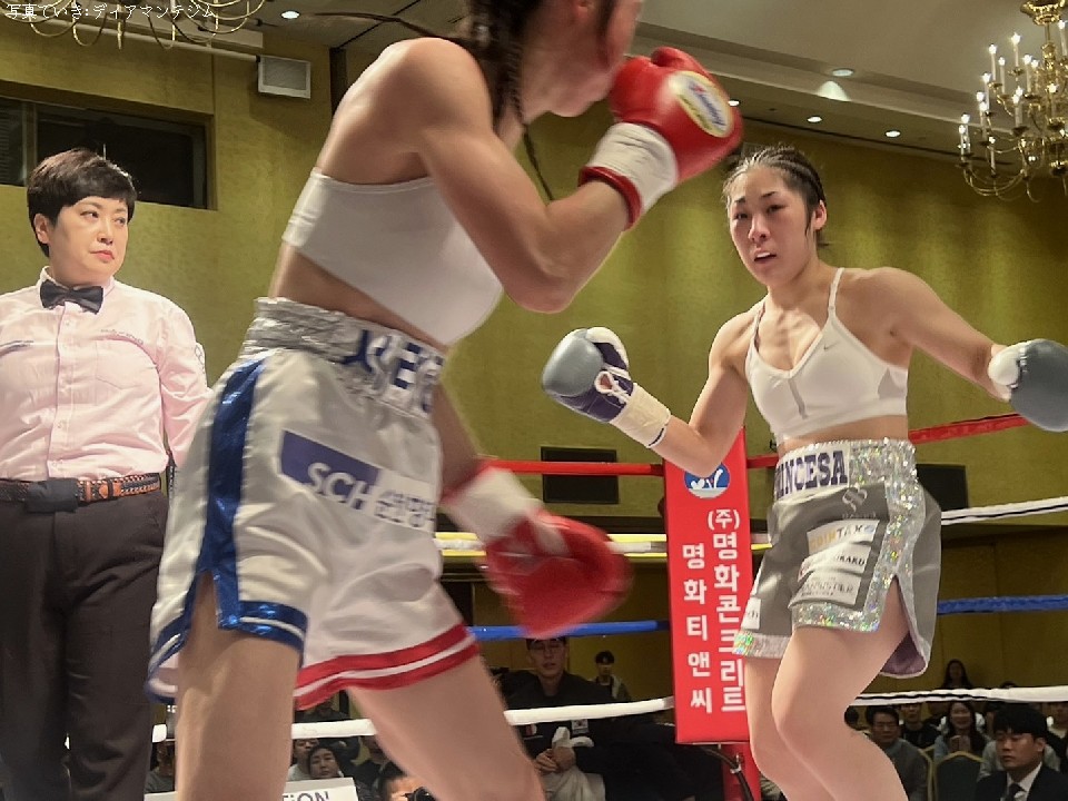 �g�엜�D��(�f�B�A�}���e)���G�n�ōċN��