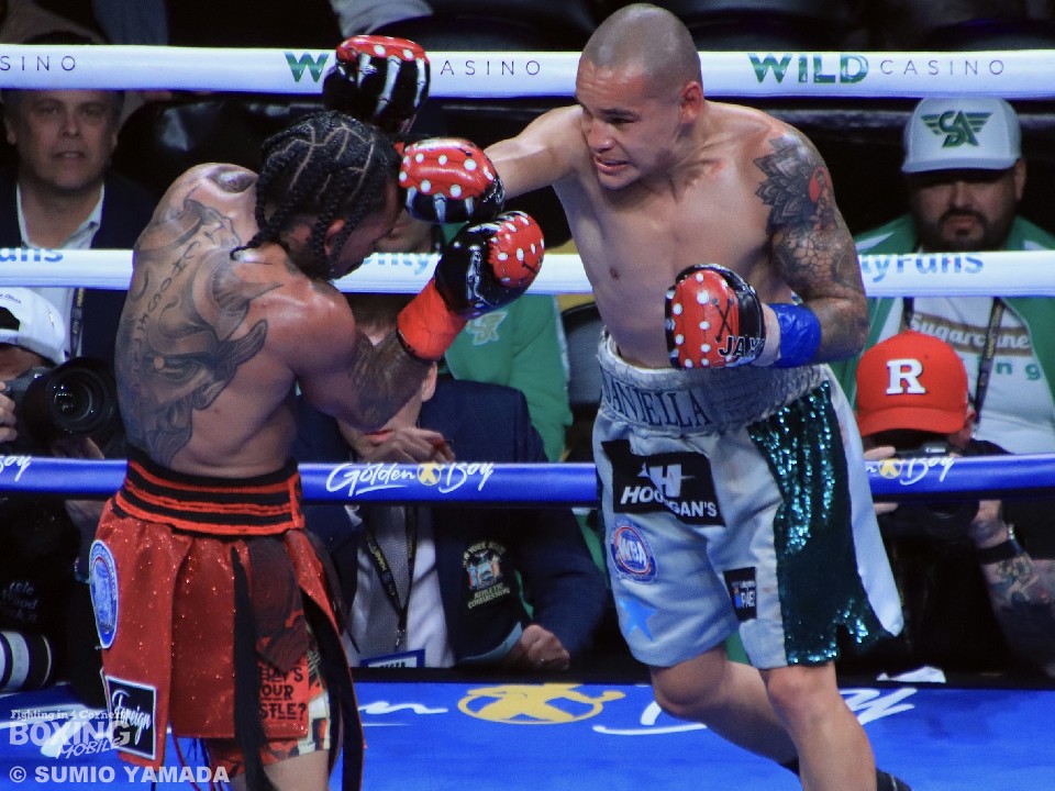 ���~���Xvs�q���l�X