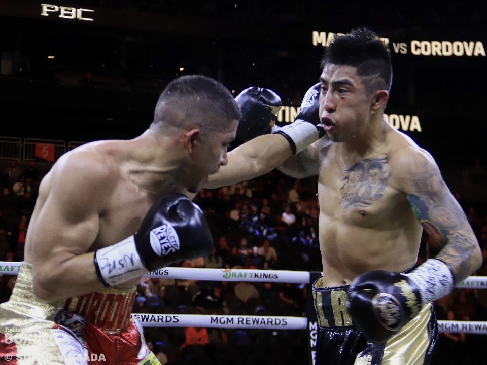 �}���e�B�l�X���X�[�p�[�t���C����