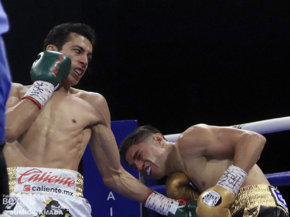 �G�X�s�m�Tvs�T���`�F�X