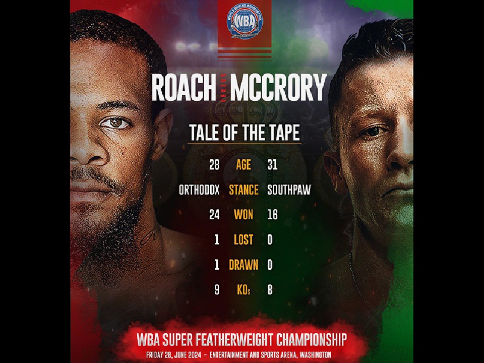 ���[�`vs�}�N���[���[