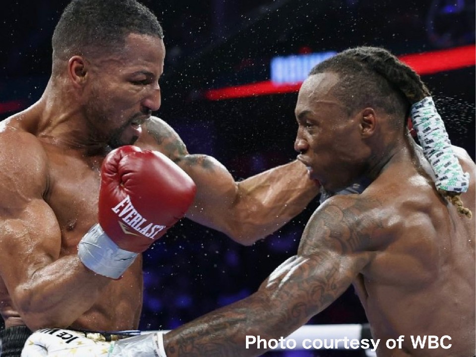 �t�H�X�^�[vs�R���Z�C�T��