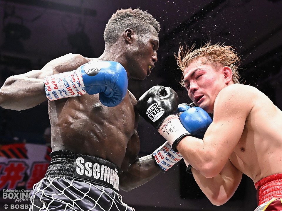 ���{�E�F���^�[���V�`�����s�I��������!