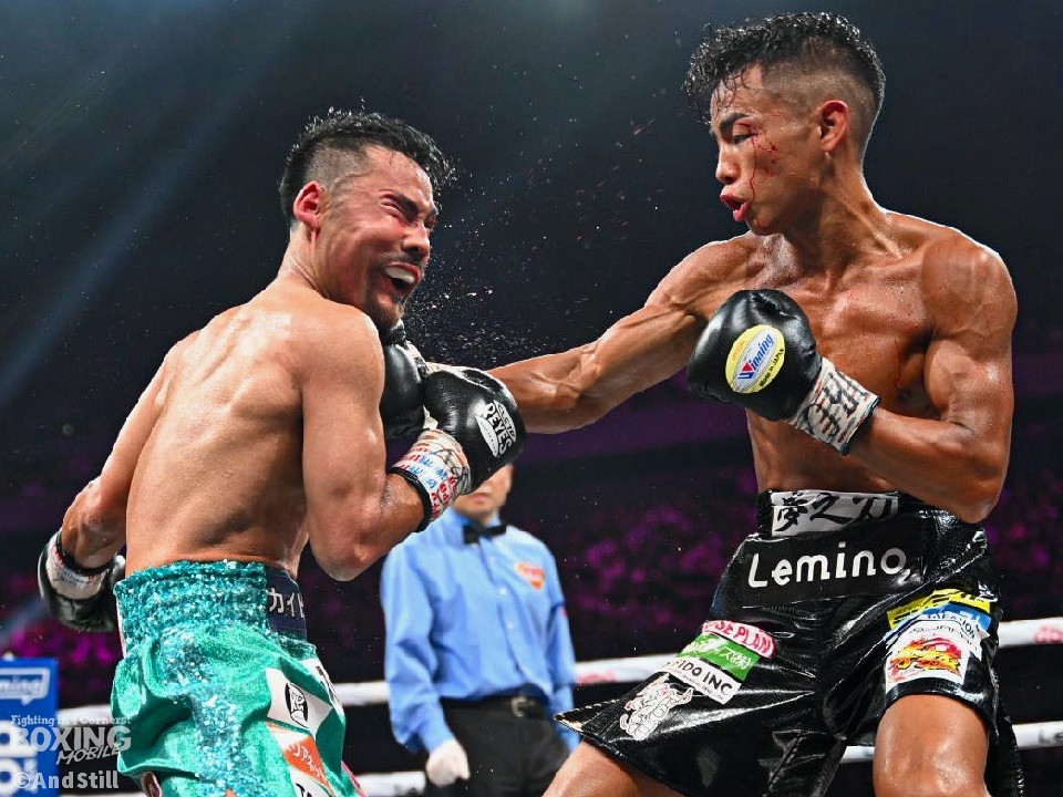 ���ڂ̓|�����Ό�! �����R���Ɣ�Ñ�Ⴊ���ˁB