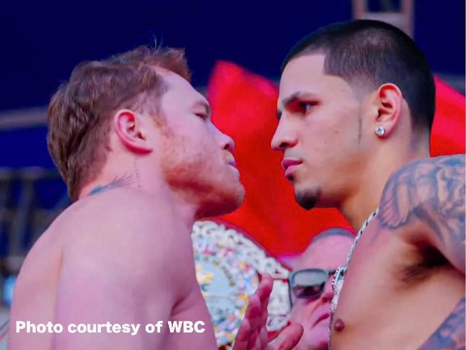 ���L�V�Rvs�v�G���g���R