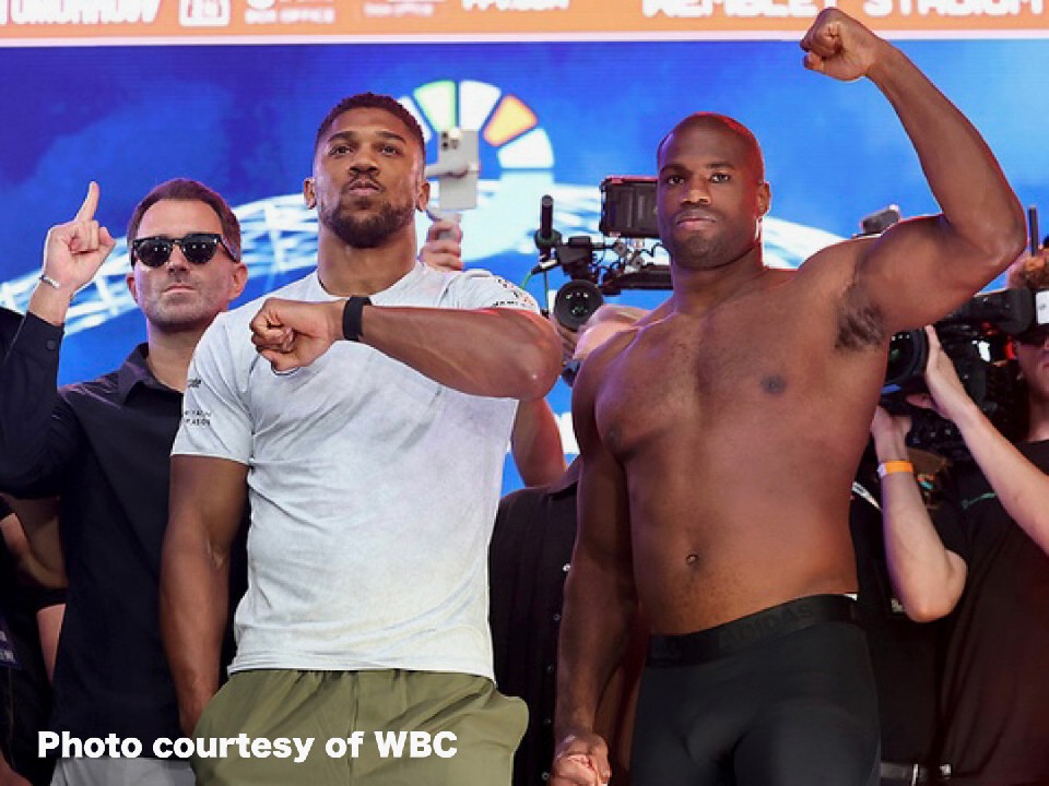 �p���l�w�r�[���^�C�g����