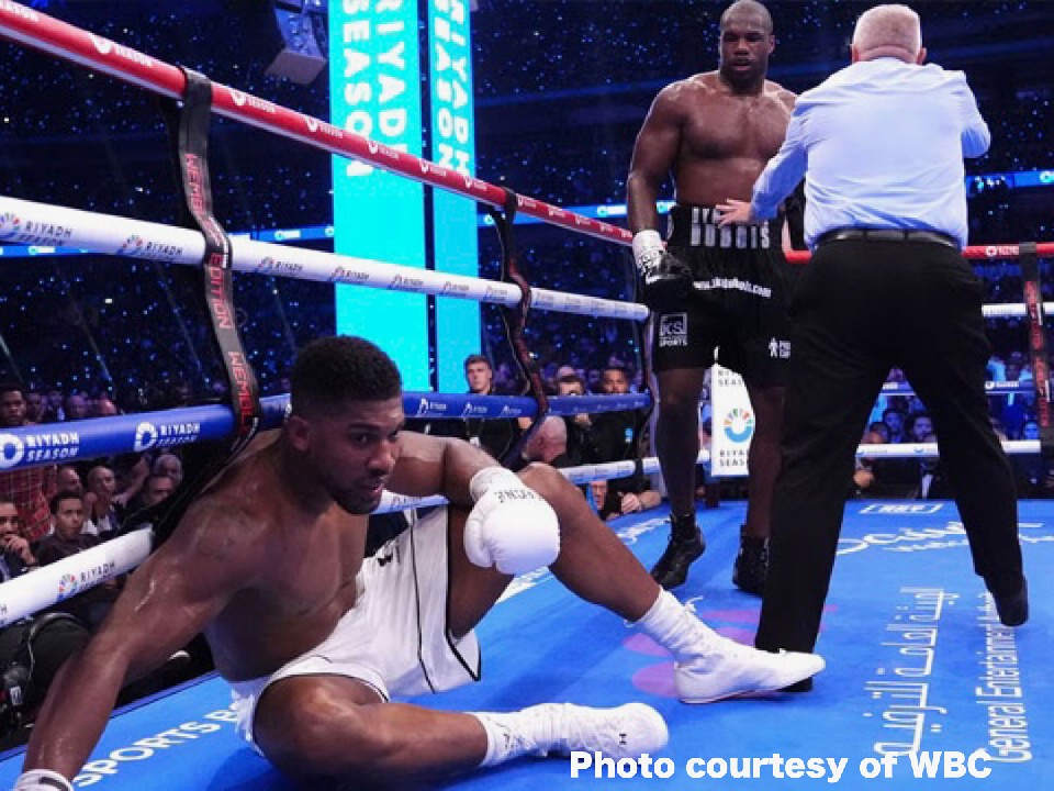 �f���{�Avs�W���V���A