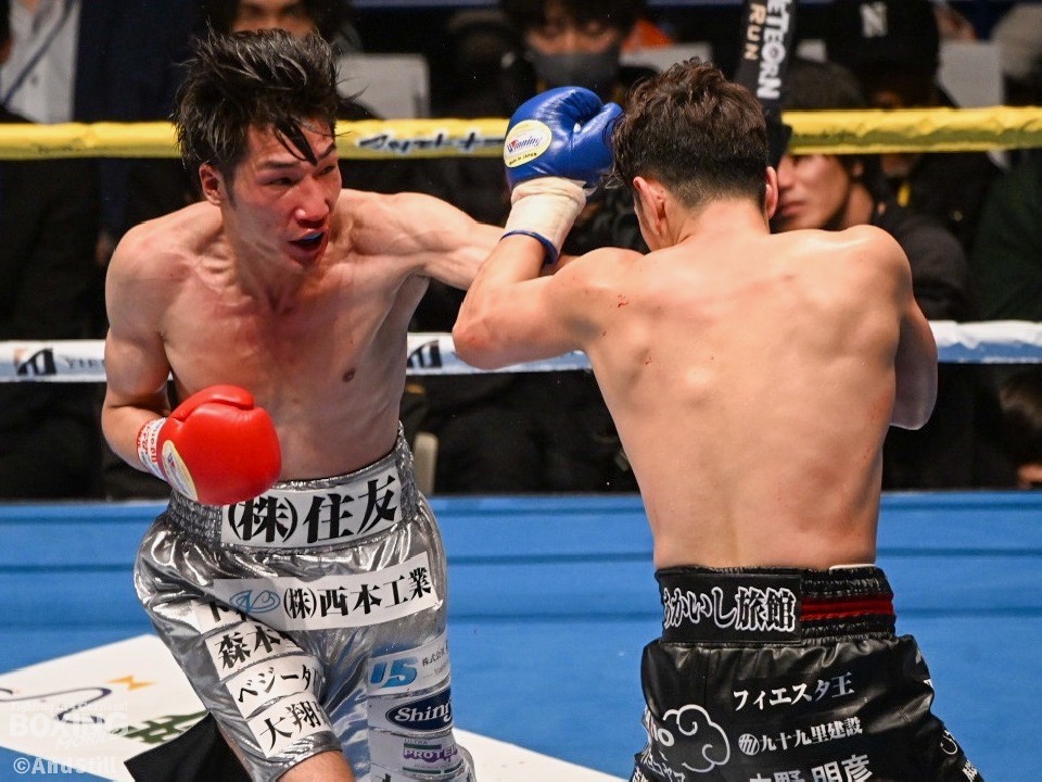 ��c�摍���̈��