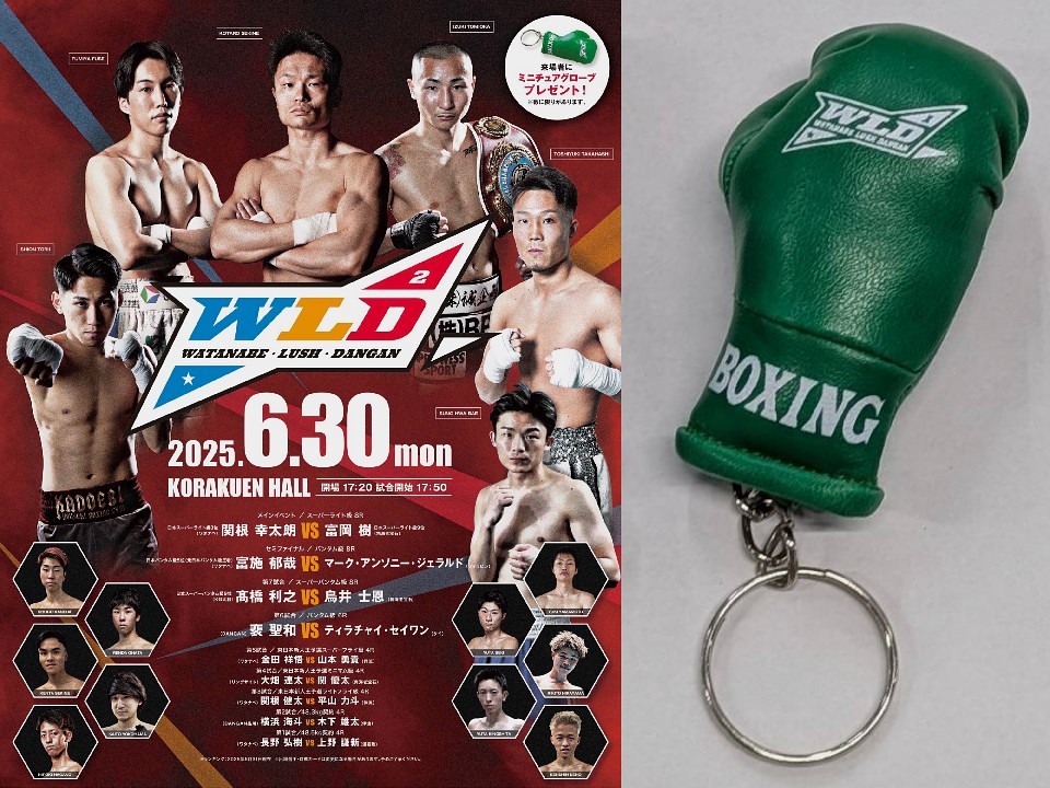 WLD特製ミニチュアグローブ