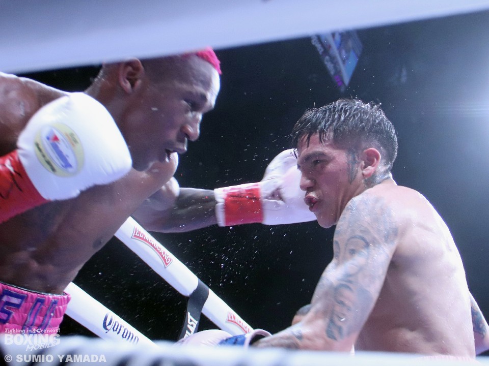 �W�F�V�[vs�J�t