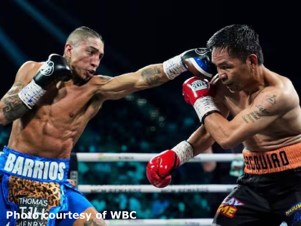 �p�b�L���Ivs�o���I�X