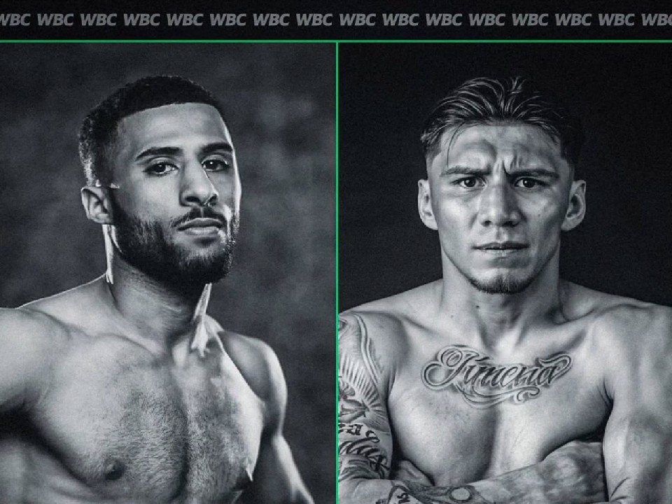 WBC�t���C���b�艤�҂̓��t�@�C