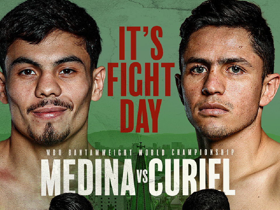 ���f�B�ivs�N���G��