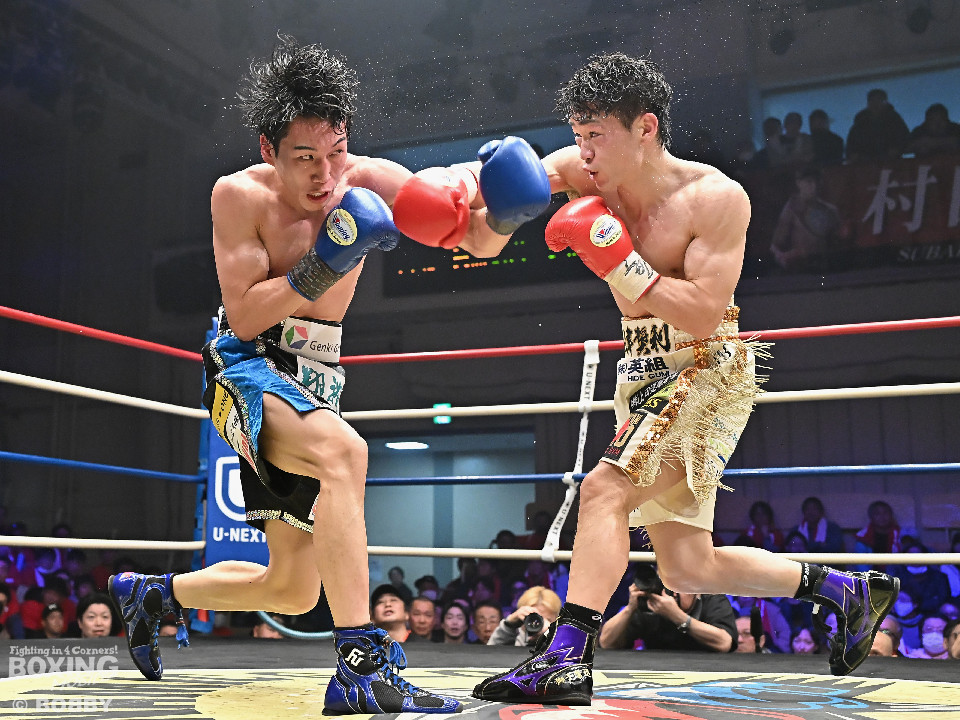 ���{�o���^����������