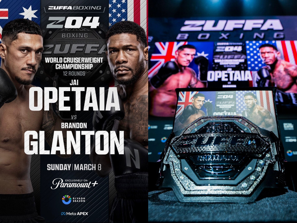 ZUFFA���̐��E���