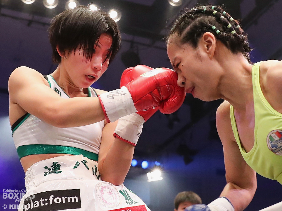 OPBF���qL�t���C�����������