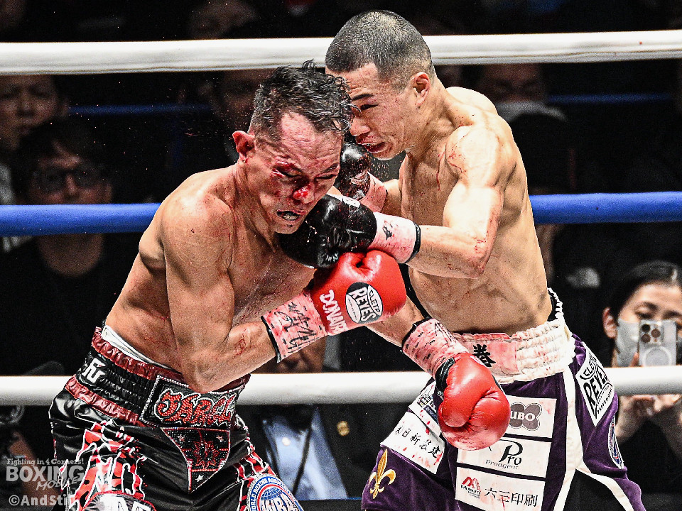 WBA���E�o���^��������Ҍ����