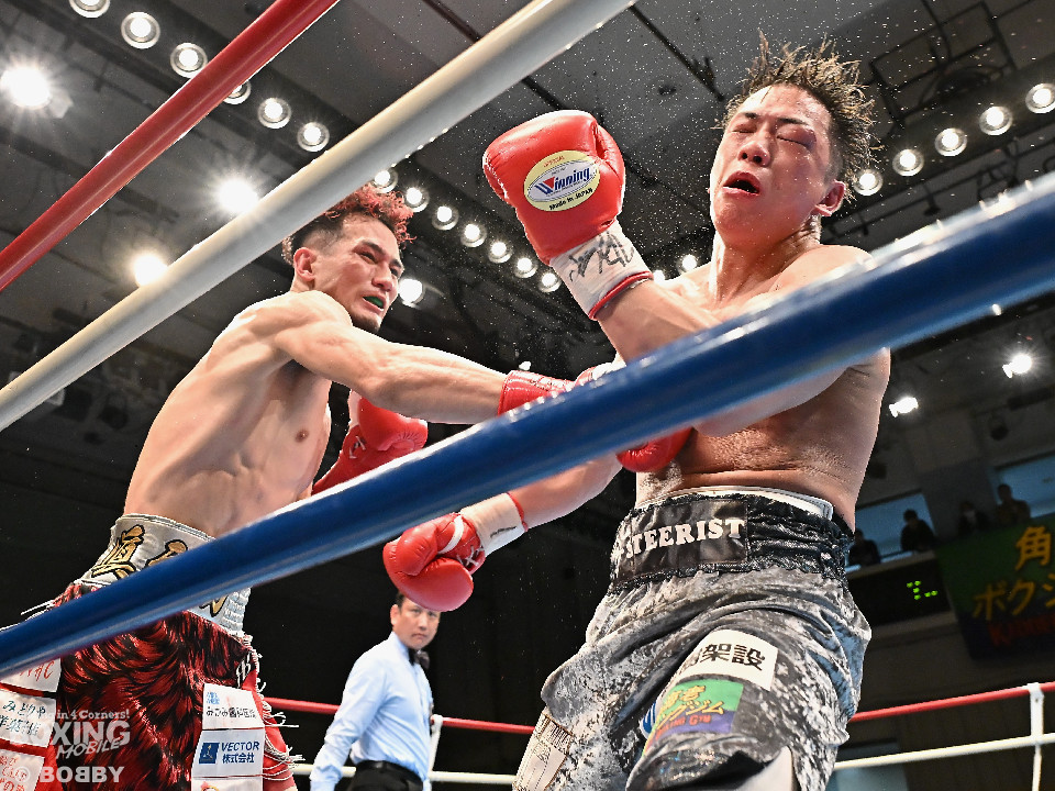 ��67����{���C�g�����҂��a��!