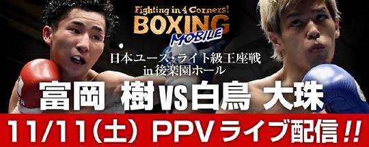 �{�N���oPPV���C�u����