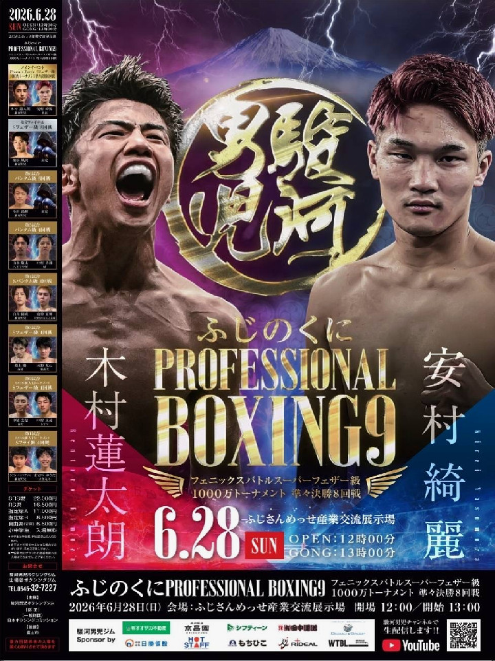 �ӂ��̂���Professional Boxing 9